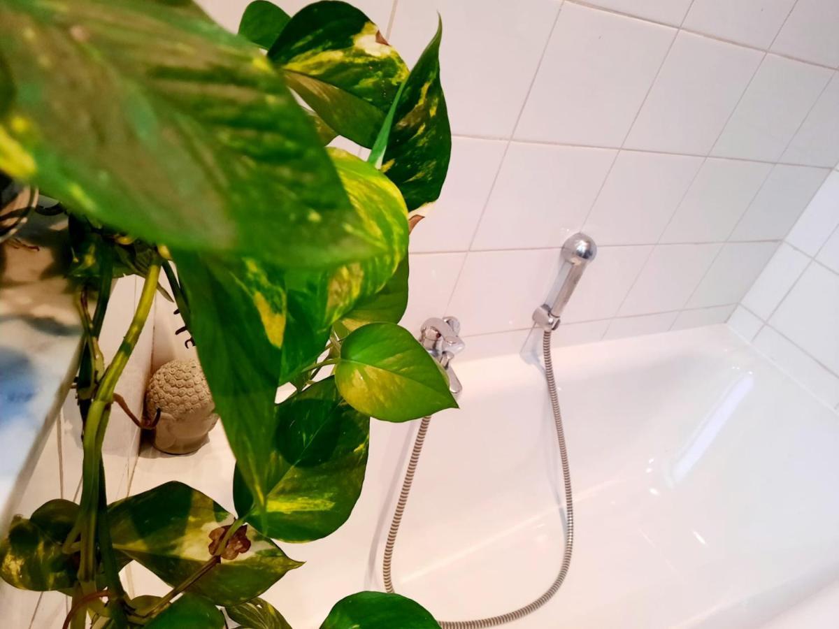 Appartement Ambiance Chalet Λιέγη Εξωτερικό φωτογραφία